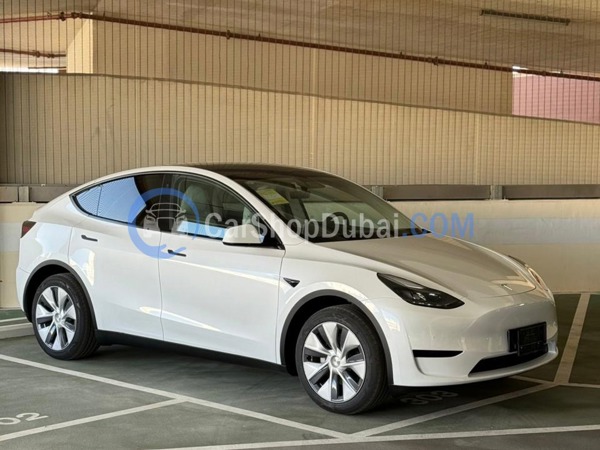 TESLA New Cars for Sale