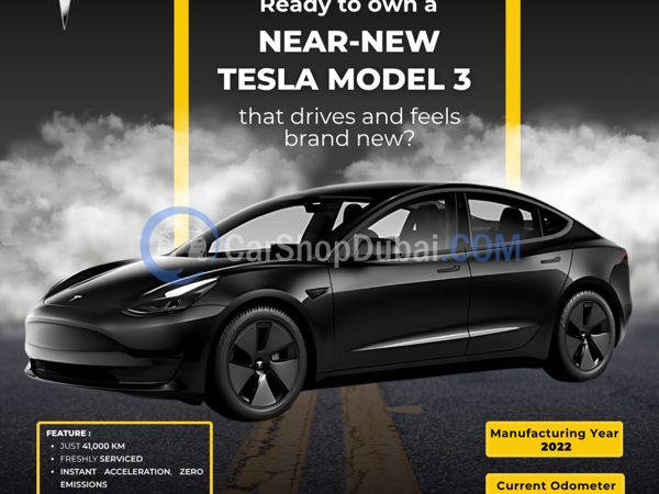 TESLA Used Cars for Sale