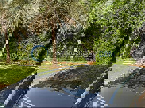 انفينيتي سيارات مستعملة للبيع انفينيتي سيارات مستعملة للبيع