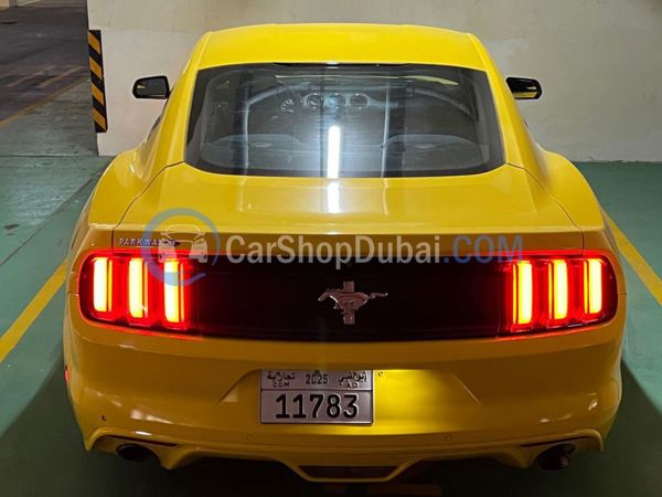 فورد سيارات مستعملة للبيع فورد سيارات مستعملة للبيع