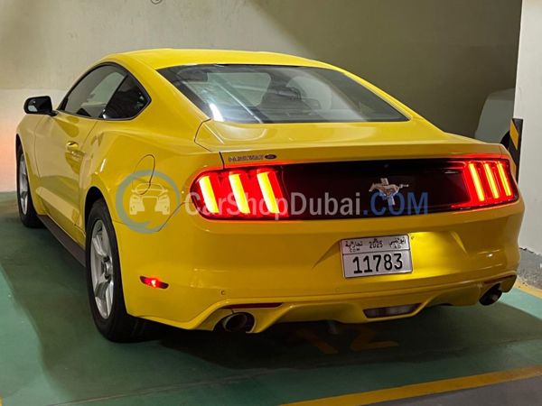 فورد سيارات مستعملة للبيع فورد سيارات مستعملة للبيع