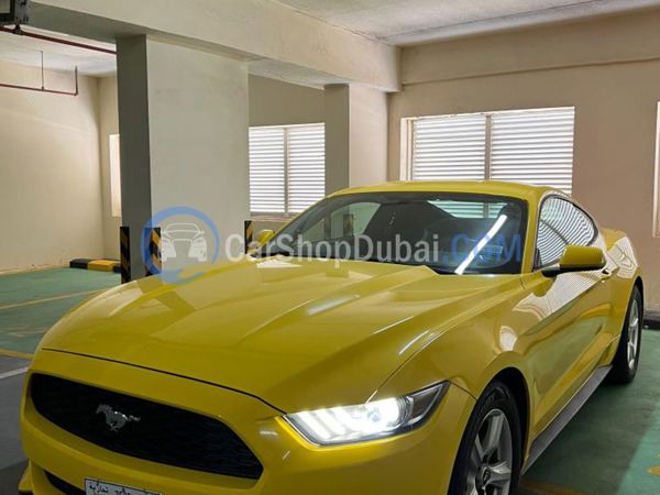 فورد سيارات مستعملة للبيع فورد سيارات مستعملة للبيع