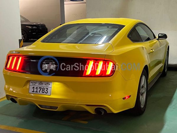 FORD Used Cars for Sale
