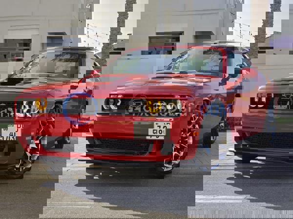 DODGE Used Cars for Sale