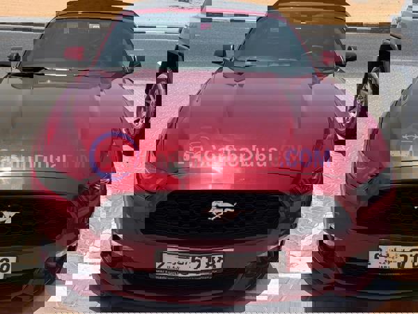 فورد سيارات مستعملة للبيع فورد سيارات مستعملة للبيع