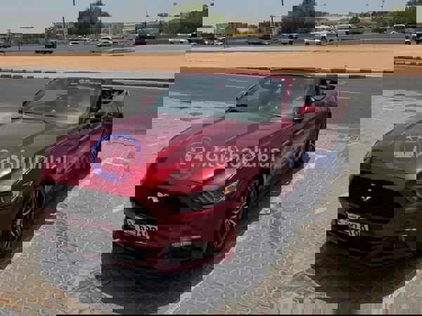 فورد سيارات مستعملة للبيع فورد سيارات مستعملة للبيع