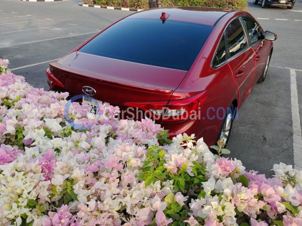 HYUNDAI Used Cars for Sale HYUNDAI Used Cars for Sale