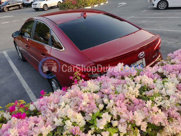 HYUNDAI Used Cars for Sale HYUNDAI Used Cars for Sale