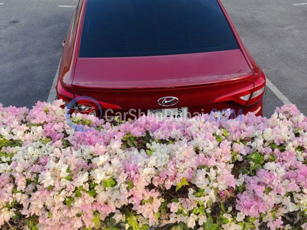 HYUNDAI Used Cars for Sale HYUNDAI Used Cars for Sale