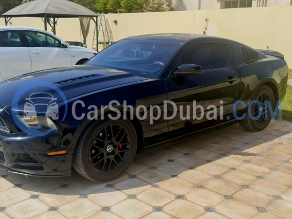 فورد سيارات مستعملة للبيع فورد سيارات مستعملة للبيع