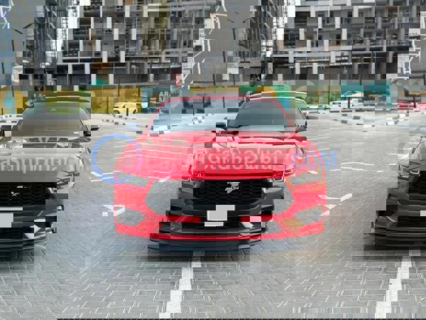 فورد سيارات مستعملة للبيع فورد سيارات مستعملة للبيع