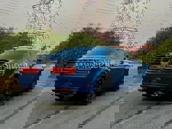 DODGE Used Cars for Sale DODGE Used Cars for Sale