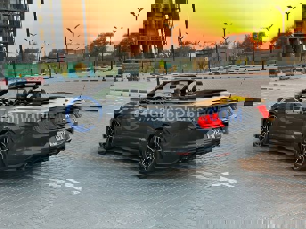 FORD Used Cars for Sale FORD Used Cars for Sale