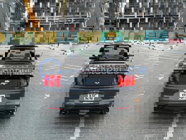 FORD Used Cars for Sale FORD Used Cars for Sale