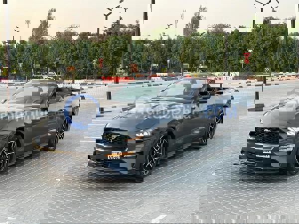 FORD Used Cars for Sale FORD Used Cars for Sale