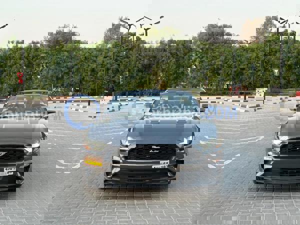 FORD Used Cars for Sale FORD Used Cars for Sale