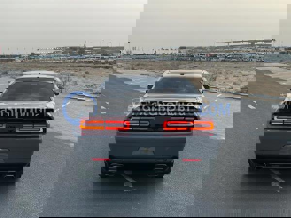 DODGE Used Cars for Sale DODGE Used Cars for Sale