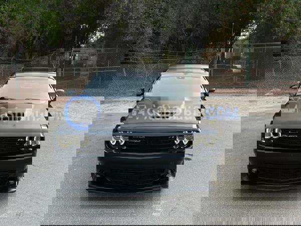 DODGE Used Cars for Sale DODGE Used Cars for Sale