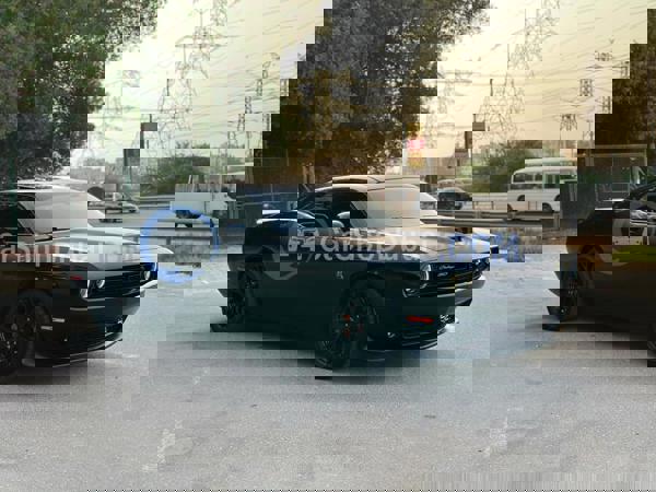 DODGE Used Cars for Sale DODGE Used Cars for Sale