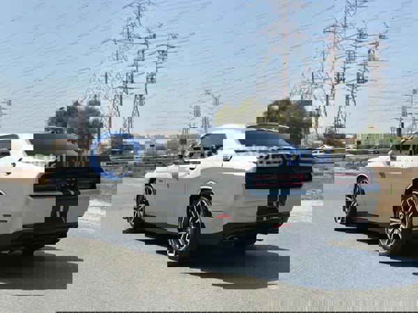 DODGE Used Cars for Sale DODGE Used Cars for Sale