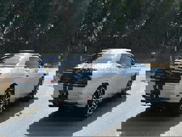 DODGE Used Cars for Sale DODGE Used Cars for Sale