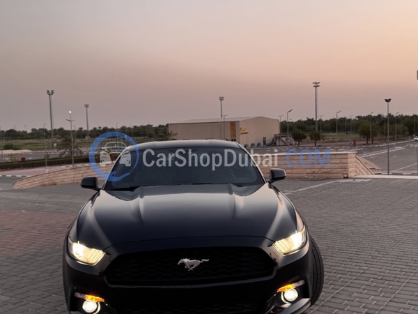FORD Used Cars for Sale FORD Used Cars for Sale