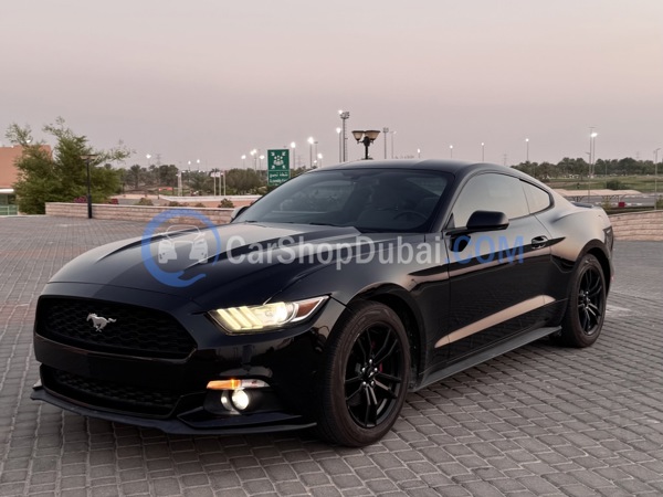 FORD Used Cars for Sale FORD Used Cars for Sale