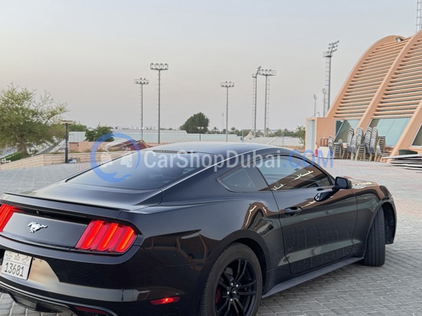 FORD Used Cars for Sale FORD Used Cars for Sale