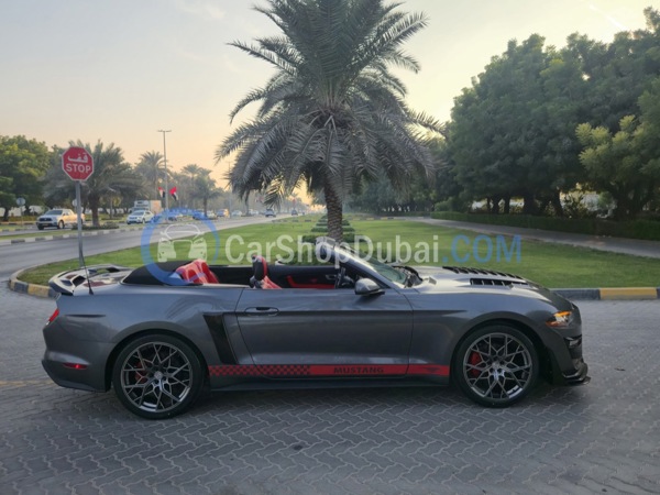 FORD Used Cars for Sale FORD Used Cars for Sale