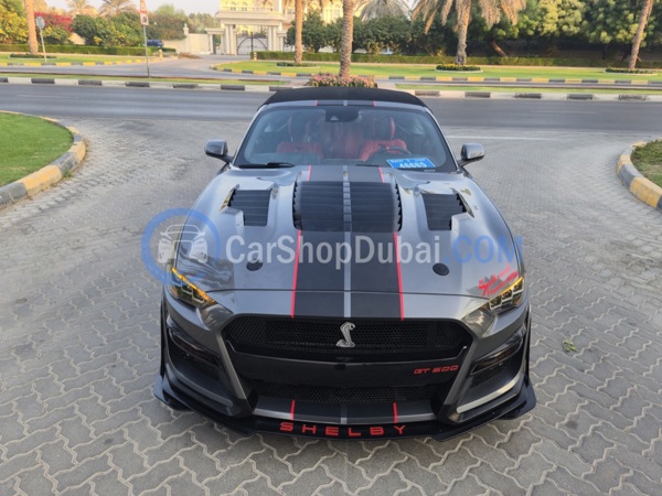 FORD Used Cars for Sale FORD Used Cars for Sale