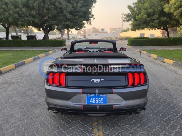 FORD Used Cars for Sale FORD Used Cars for Sale