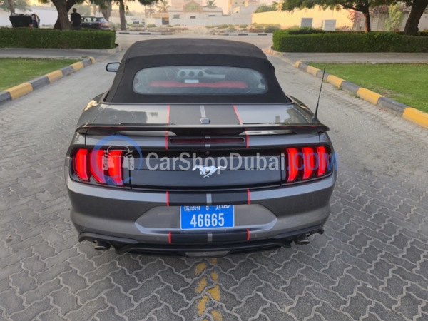 FORD Used Cars for Sale FORD Used Cars for Sale