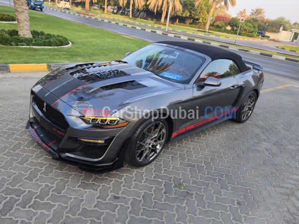 FORD Used Cars for Sale FORD Used Cars for Sale