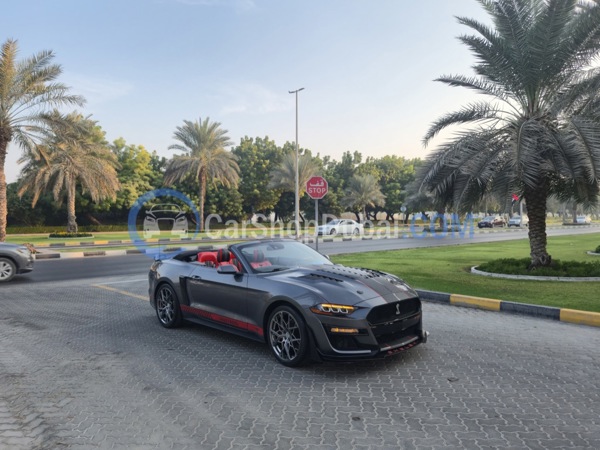 FORD Used Cars for Sale FORD Used Cars for Sale