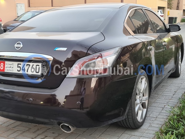 NISSAN Used Cars for Sale NISSAN Used Cars for Sale