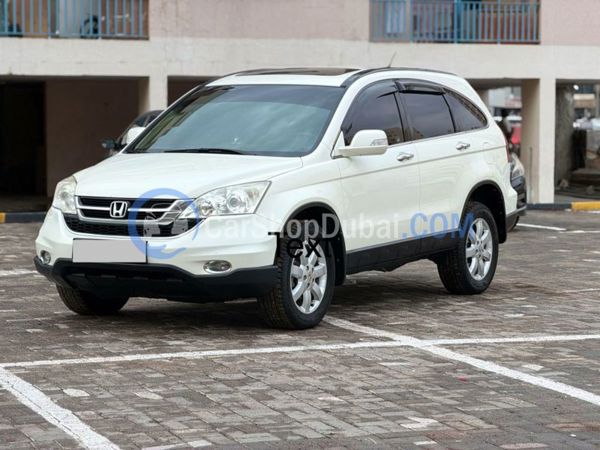 HONDA Used Cars for Sale HONDA Used Cars for Sale