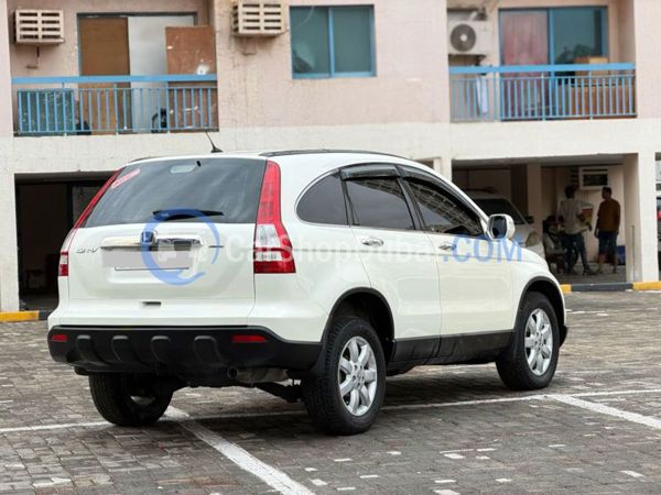 HONDA Used Cars for Sale HONDA Used Cars for Sale