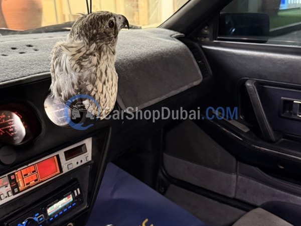 نيسان سيارات مستعملة للبيع نيسان سيارات مستعملة للبيع