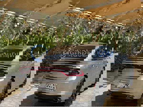 دودج سيارات مستعملة للبيع دودج سيارات مستعملة للبيع