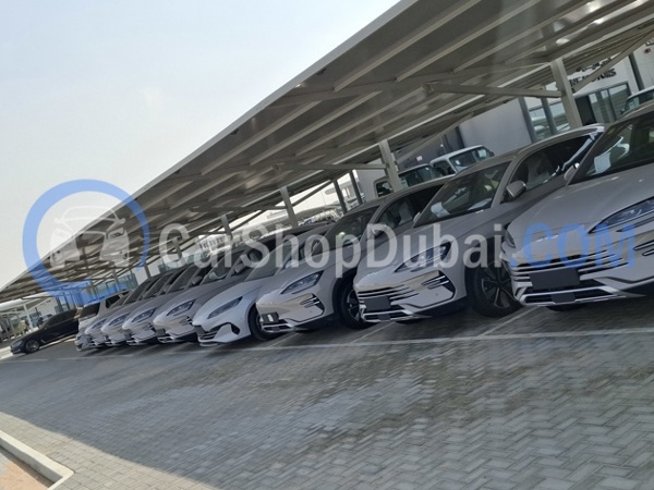 بي واي دي سيارات جديدة للبيع بي واي دي سيارات جديدة للبيع