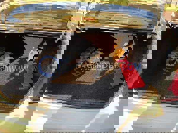 هوندا سيارات مستعملة للبيع هوندا سيارات مستعملة للبيع