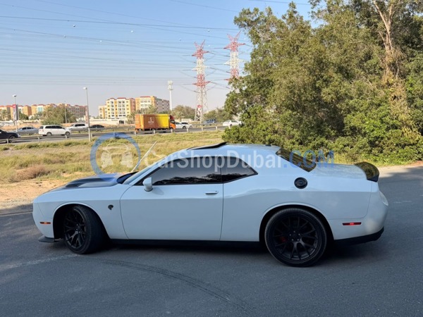 DODGE Used Cars for Sale DODGE Used Cars for Sale