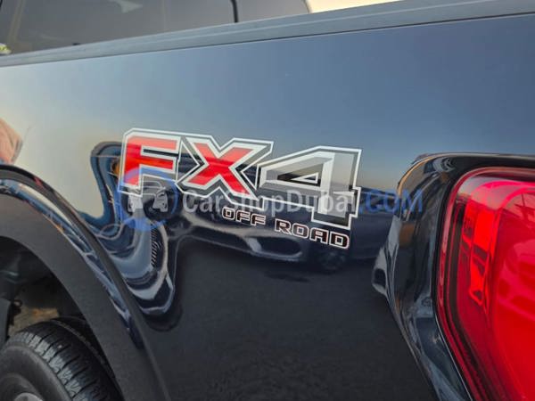 FORD Used Cars for Sale FORD Used Cars for Sale