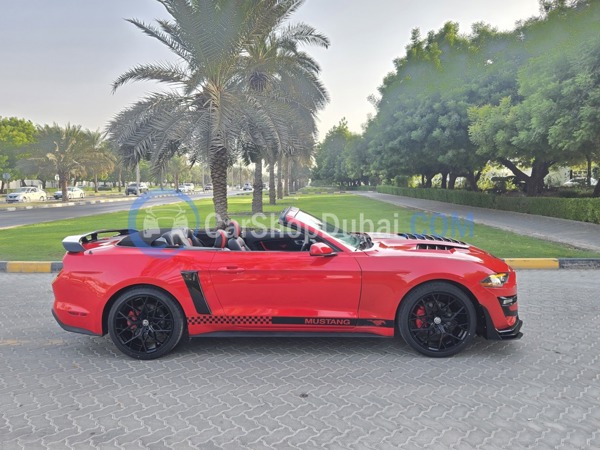 FORD Used Cars for Sale FORD Used Cars for Sale