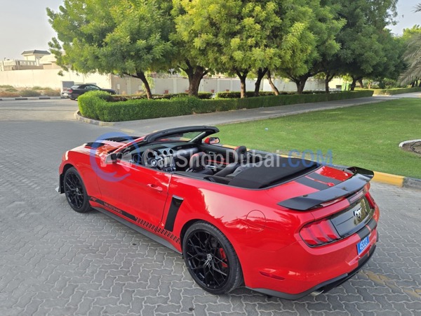 FORD Used Cars for Sale FORD Used Cars for Sale