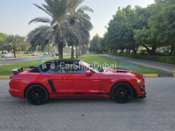 FORD Used Cars for Sale FORD Used Cars for Sale