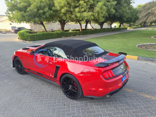 FORD Used Cars for Sale FORD Used Cars for Sale