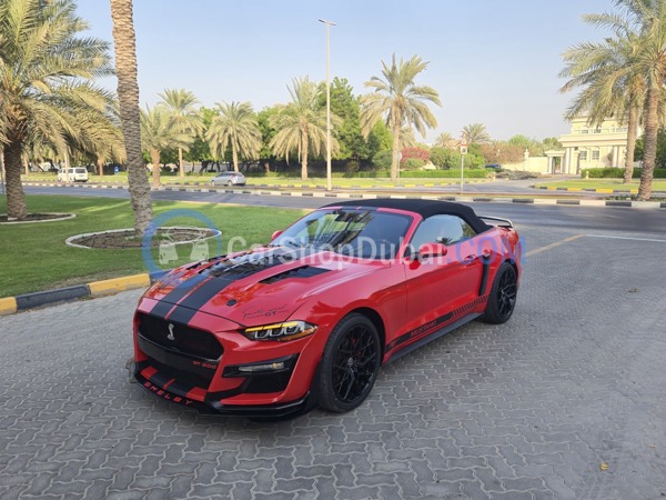 FORD Used Cars for Sale FORD Used Cars for Sale