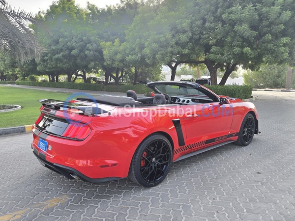 FORD Used Cars for Sale FORD Used Cars for Sale