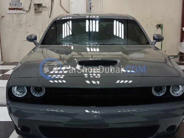 DODGE Used Cars for Sale DODGE Used Cars for Sale